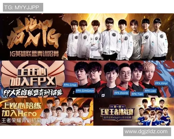 探讨FPX在王者荣耀中的团队配合与战术策略分析